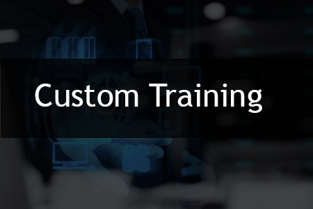 Custom Training